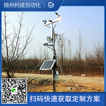 小型手机在线免费看片