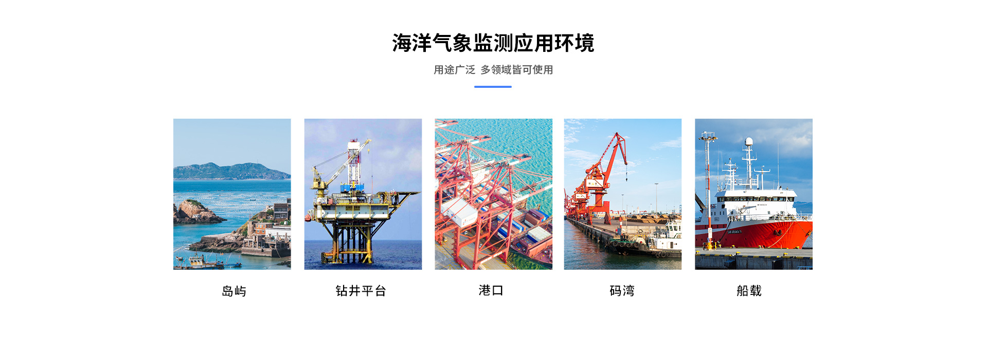 海洋手机在线免费看片