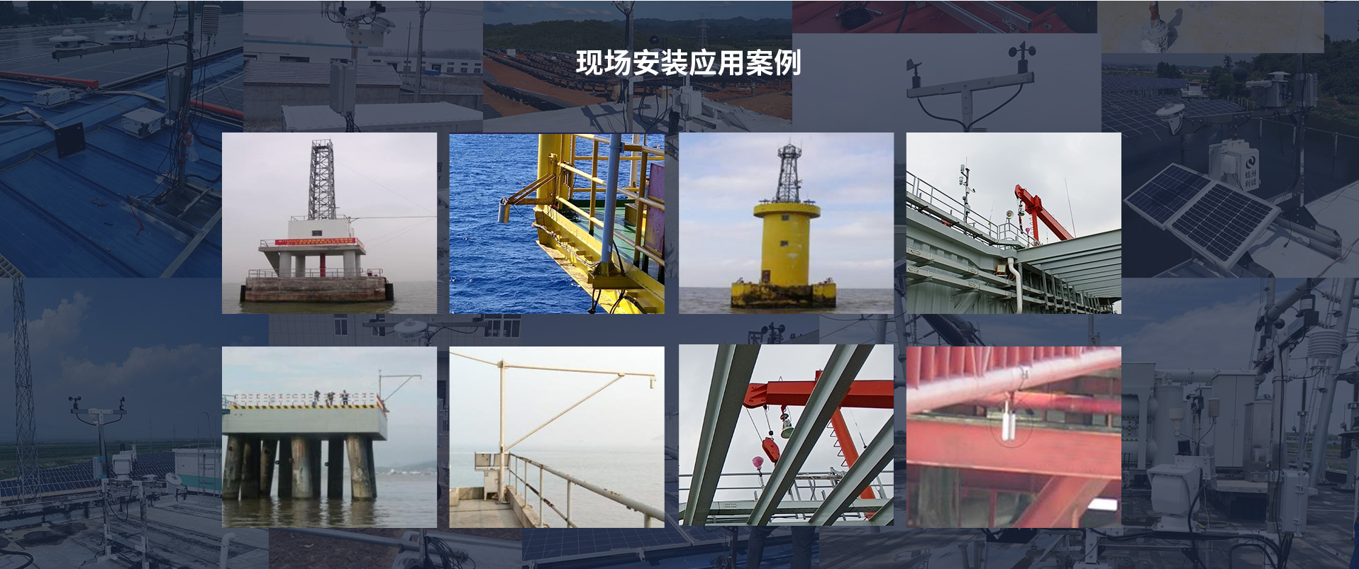 海洋手机在线免费看片